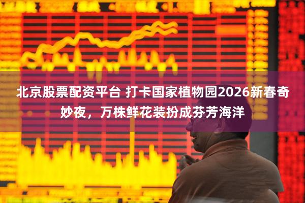 北京股票配资平台 打卡国家植物园2026新春奇妙夜，万株鲜花装扮成芬芳海洋